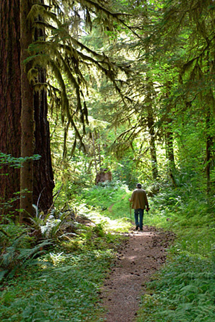santiam wagon road 1 graphic